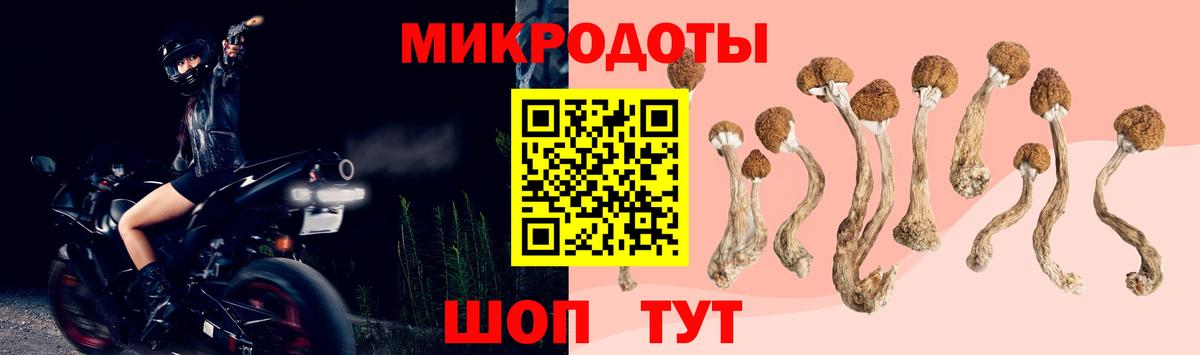 Благодарный  Галлюциногенные грибы Cubensis  Псилоцибиновые грибы Magic Shrooms  Вход с VPN 